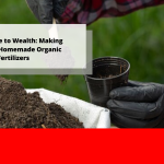 From Waste to Wealth: Making and Using Homemade Organic Fertilizers